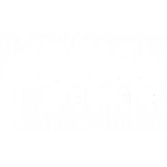 Schneider Electric SE